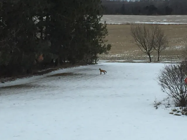 $624,900 | W5735 County Road East, Shawano, WI 54166