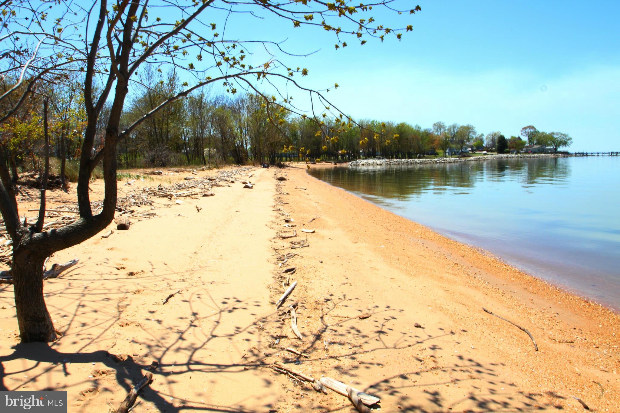 76 Basin Road Earleville, MD 21919 - Photo 22 of 22 Community beach
