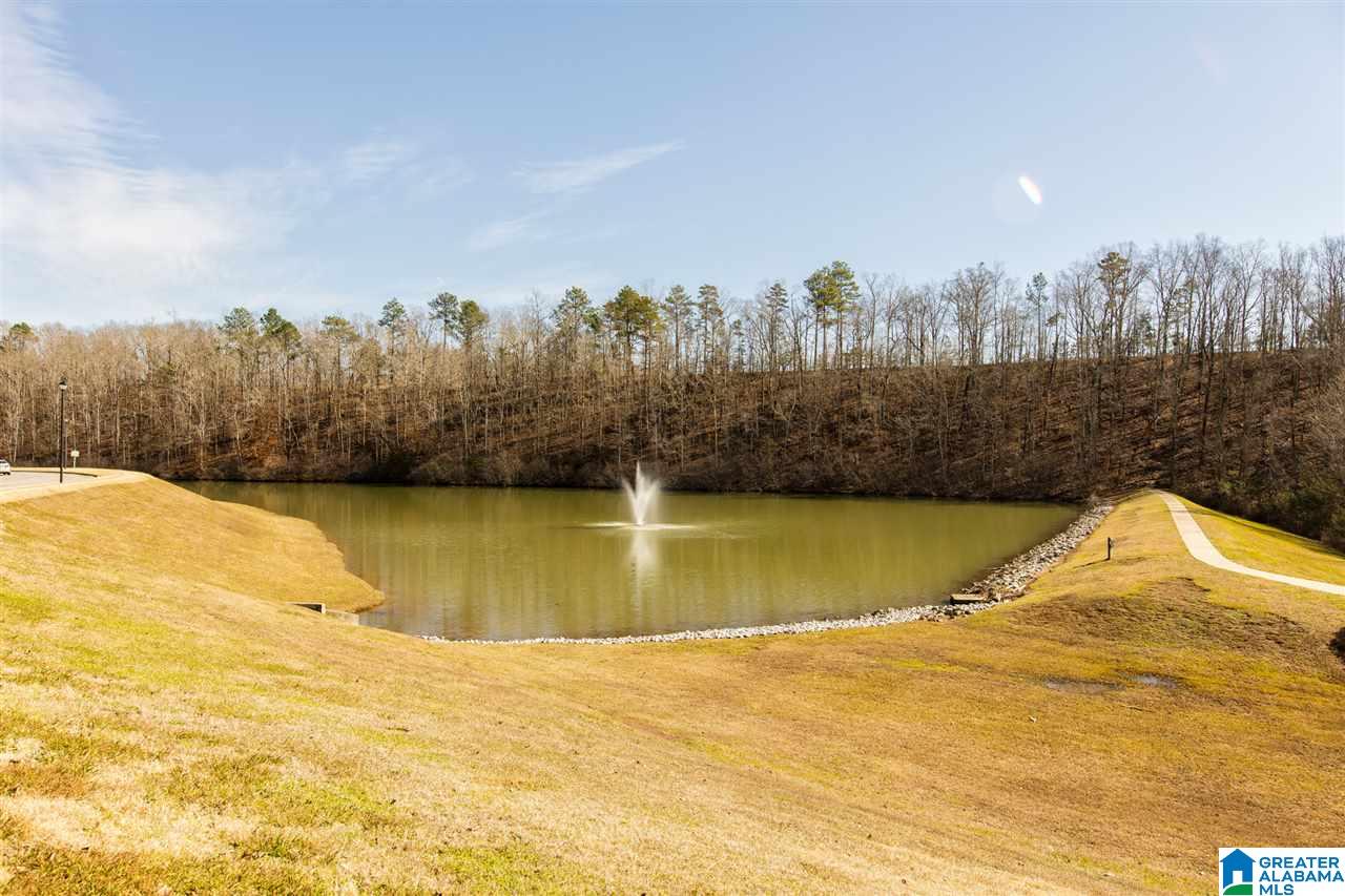 533 Chesser Circle Chelsea, AL 35043 - Photo 40 of 40