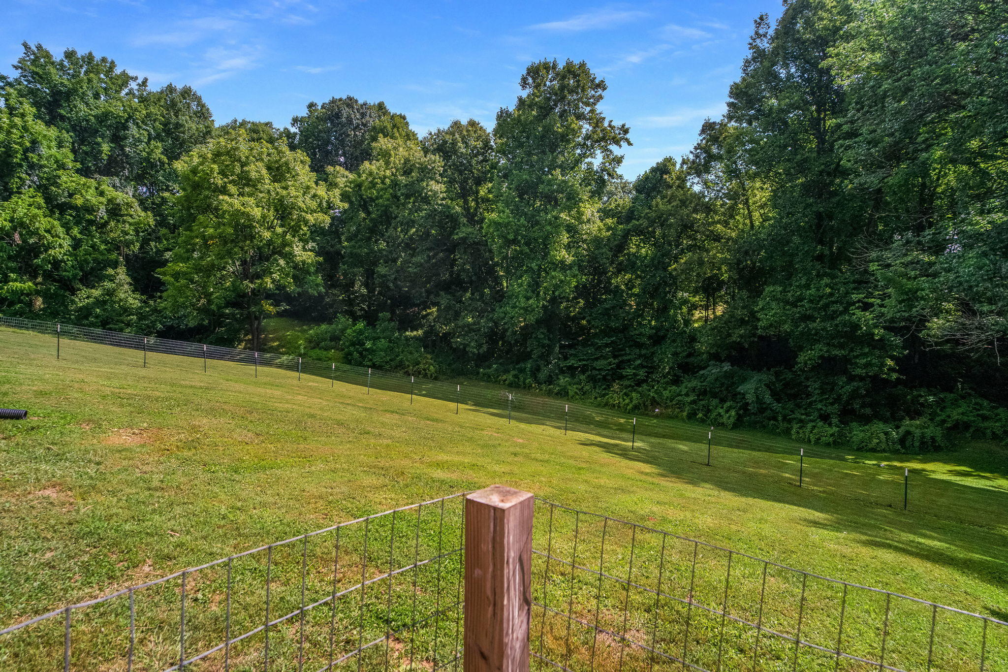 337 Gibbs Road Kingsport, TN 37660 - Photo 31 of 34 33-web-or-mls-DSC00718-Edit