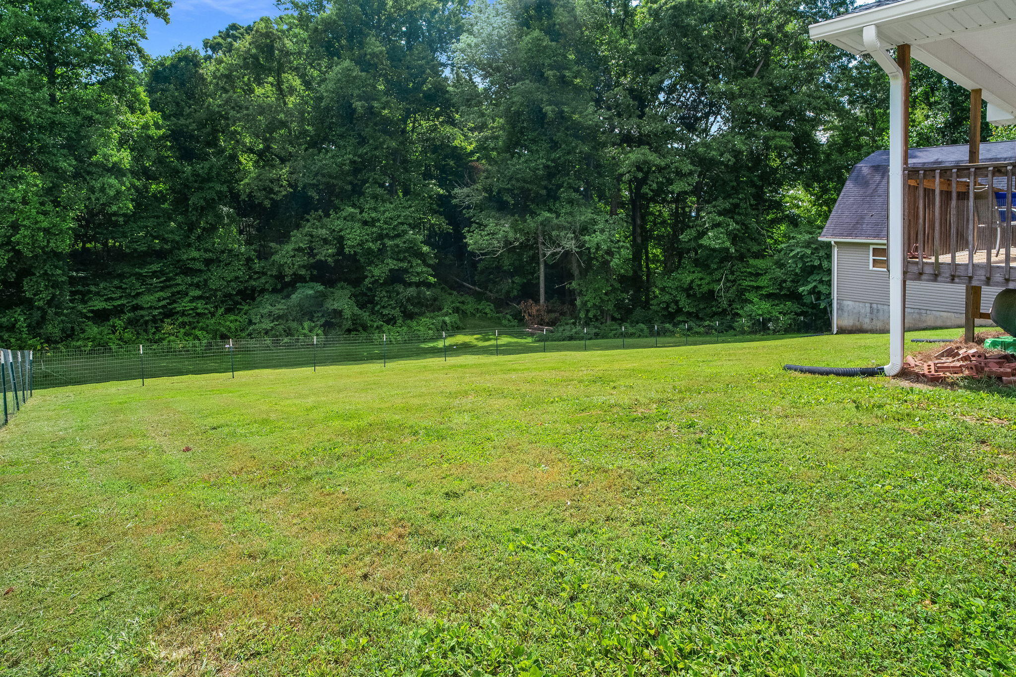 337 Gibbs Road Kingsport, TN 37660 - Photo 32 of 34 34-web-or-mls-DSC00738-Edit