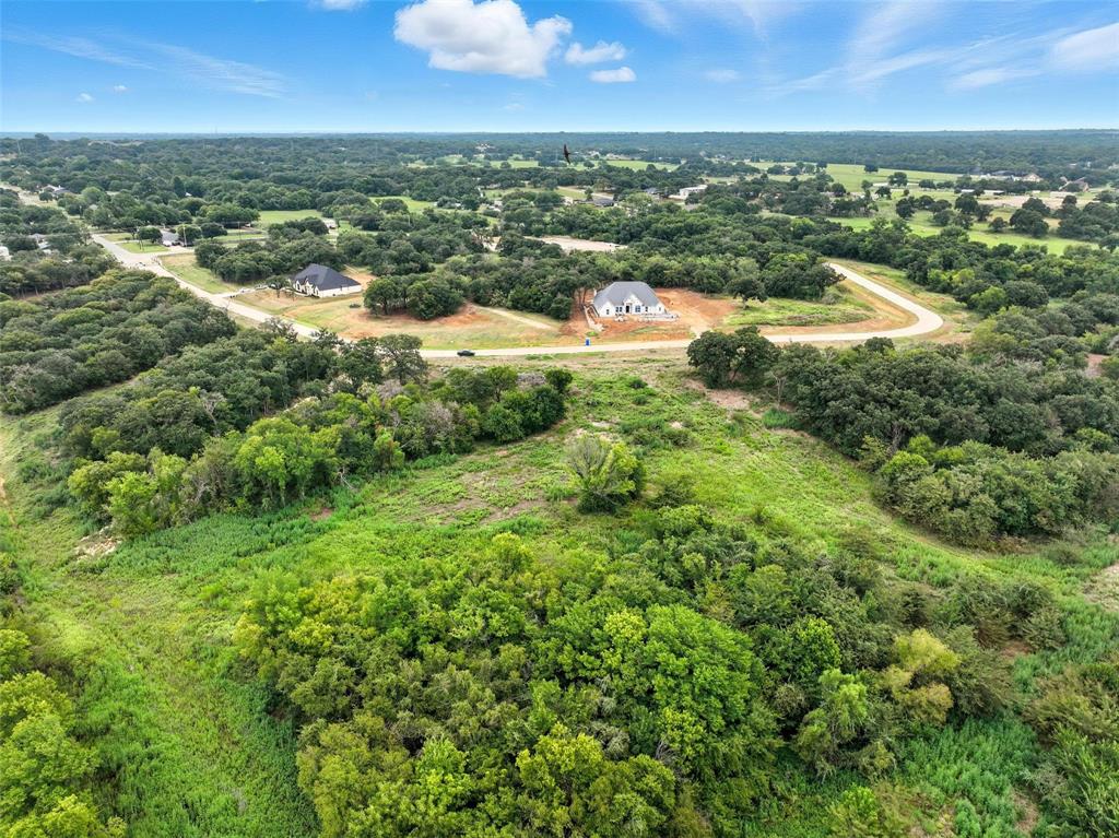1617 Private Access 60200 Burleson, TX 76028 - Photo 14 of 19 an aerial view of residential houses with outdoor space and river