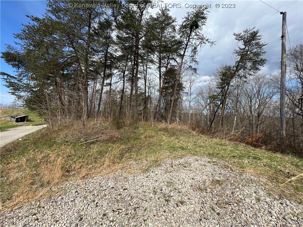 24-acres Redmond Ridge Road Gallipolis Ferry, WV 25515 - Photo 5 of 14 Gallery Image 5
