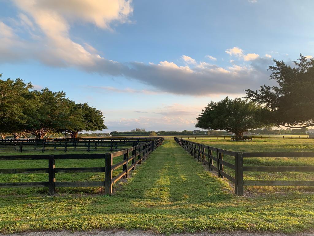 4381 S Road Wellington, FL 33414 - Photo 7 of 7 Paddocks
