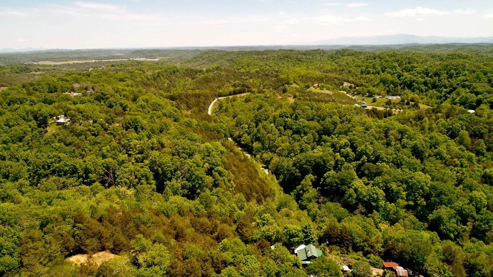 6.58-acres Crossfield Way Bybee, TN 37713 - Photo 11 of 22 DJI_0007-2