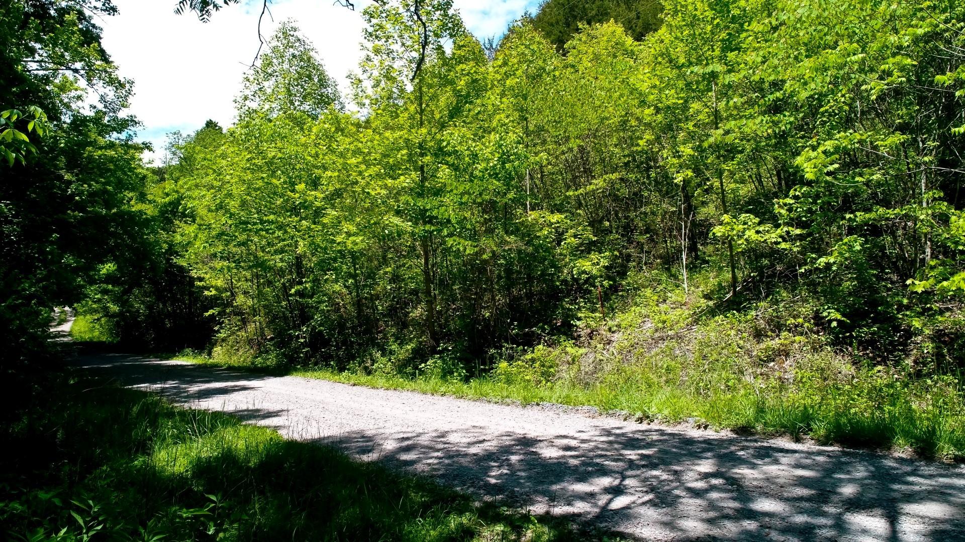 6.58-acres Crossfield Way Bybee, TN 37713 - Photo 13 of 22 DJI_0009-2