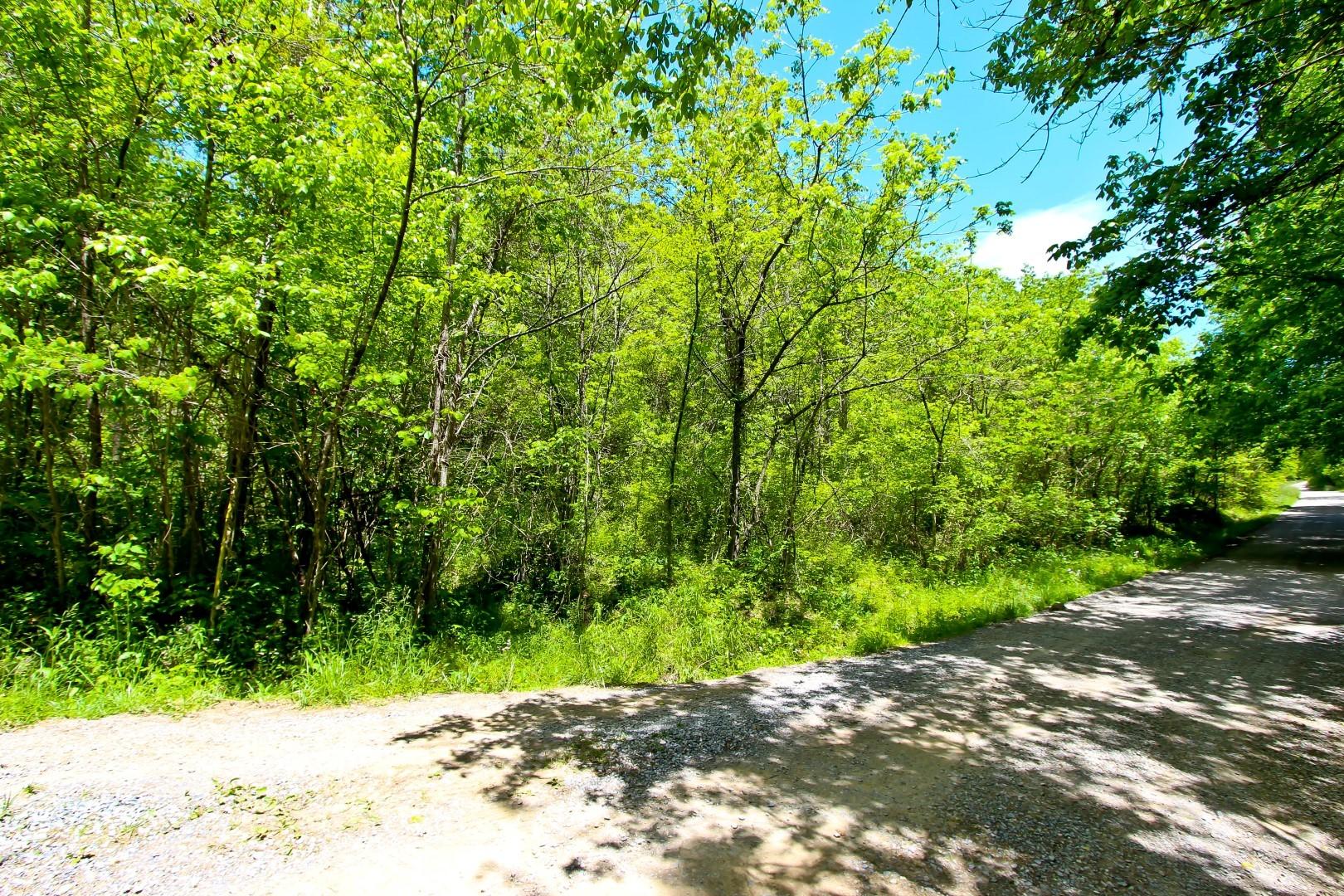 6.58-acres Crossfield Way Bybee, TN 37713 - Photo 4 of 22 IMG_4906