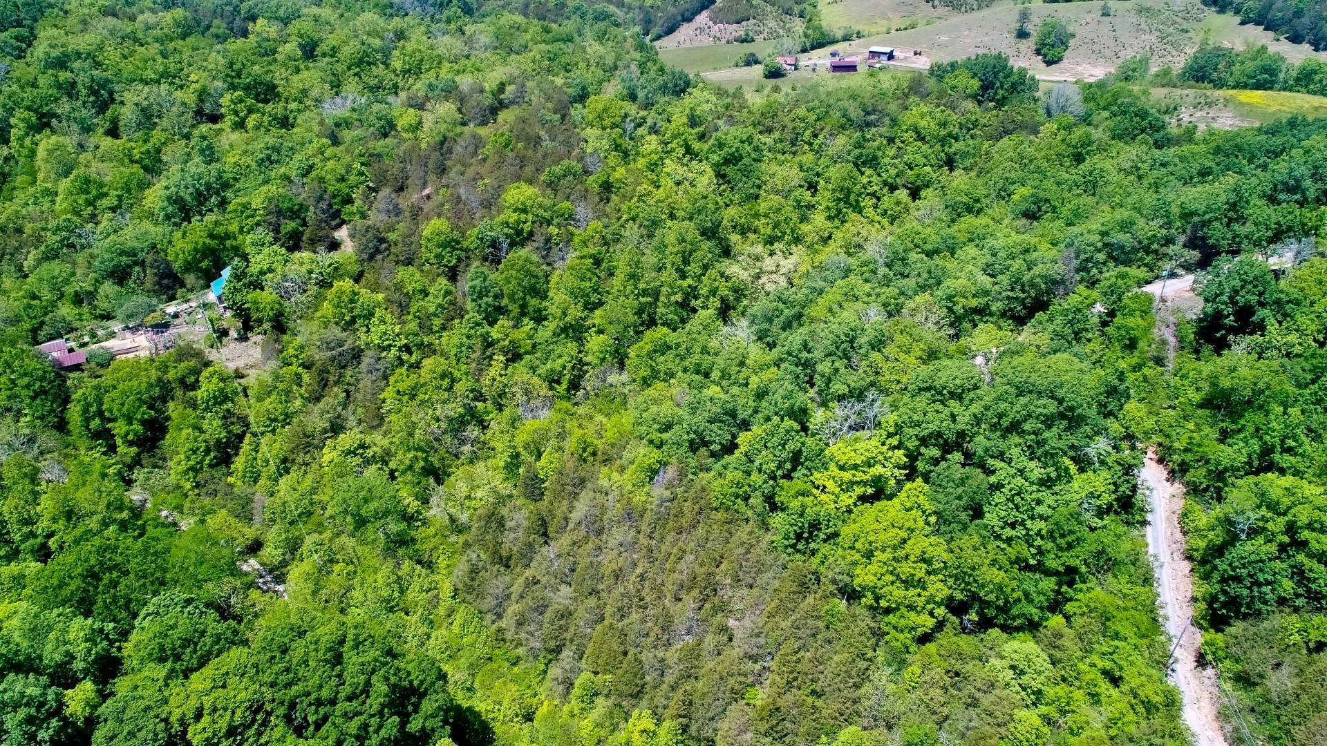 6.58-acres Crossfield Way Bybee, TN 37713 - Photo 8 of 22 DJI_0001-2