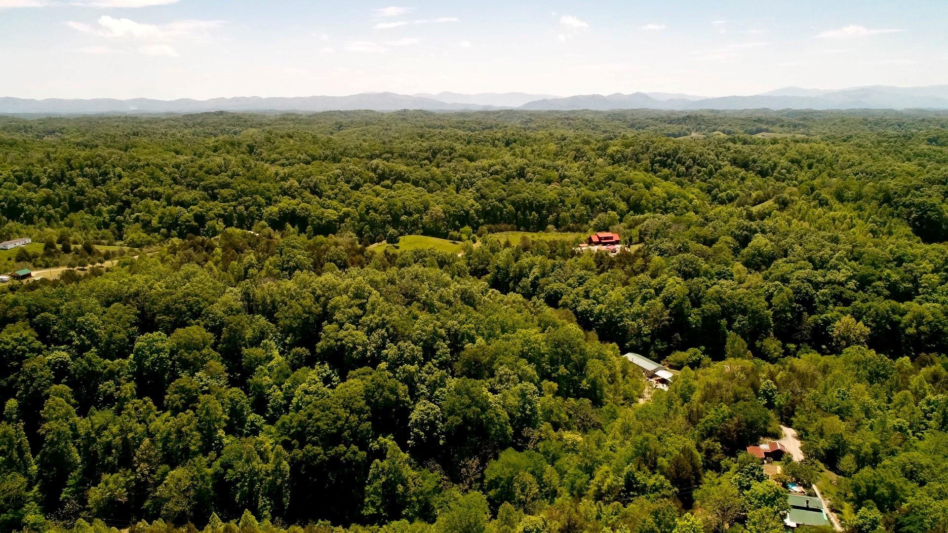 6.58-acres Crossfield Way Bybee, TN 37713 - Photo 9 of 22 DJI_0005-2