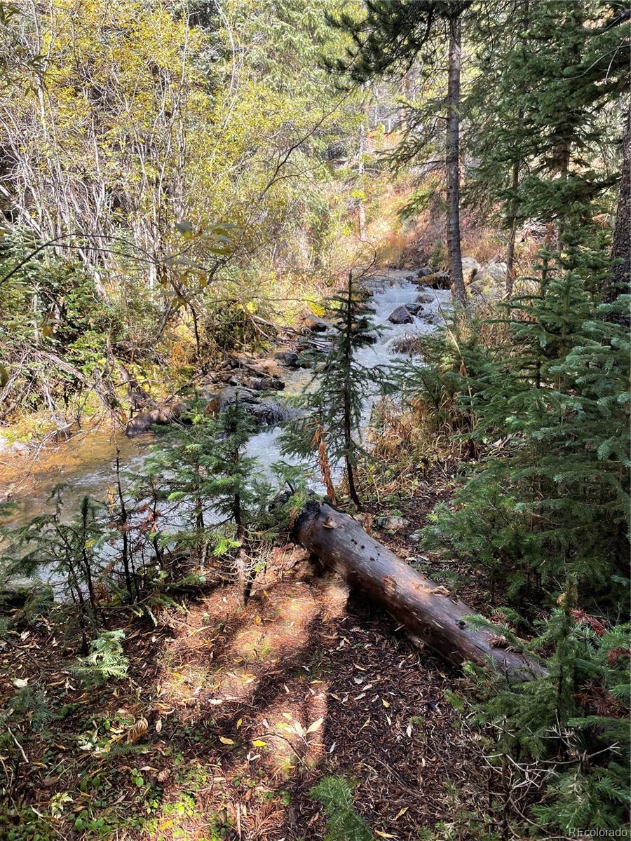 980 Rainbow Road Idaho Springs, CO 80452 - Photo 3 of 20 Gallery Image 3