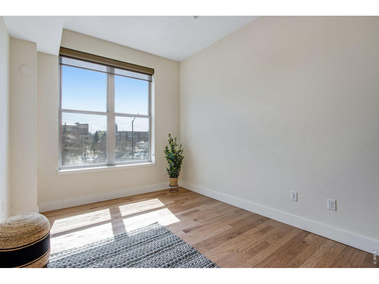 204 Maple Street, Unit 208 Fort Collins, CO 80521 - Photo 28 of 37 Great Natural Light