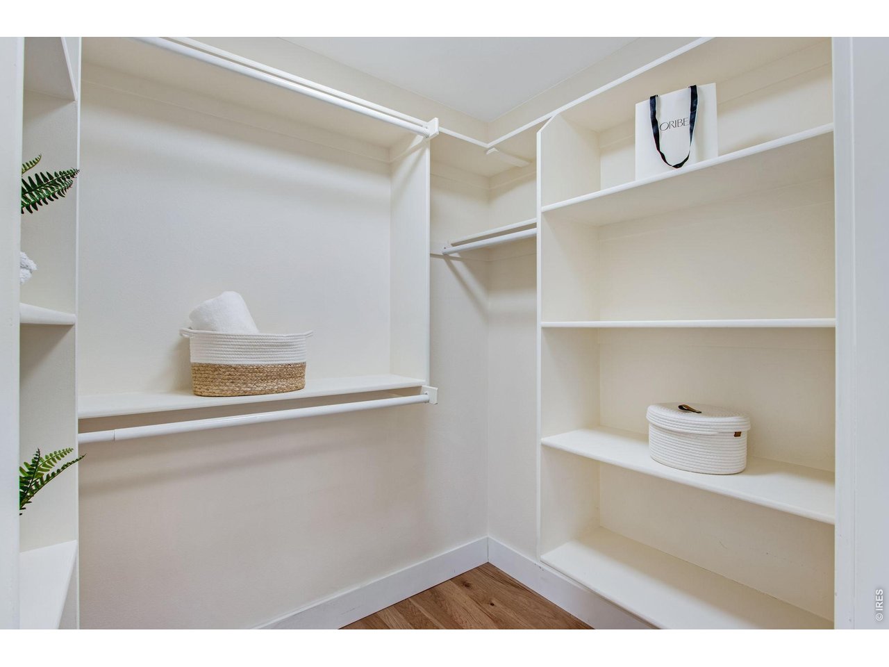 204 Maple Street, Unit 208 Fort Collins, CO 80521 - Photo 32 of 37 Primary Closet