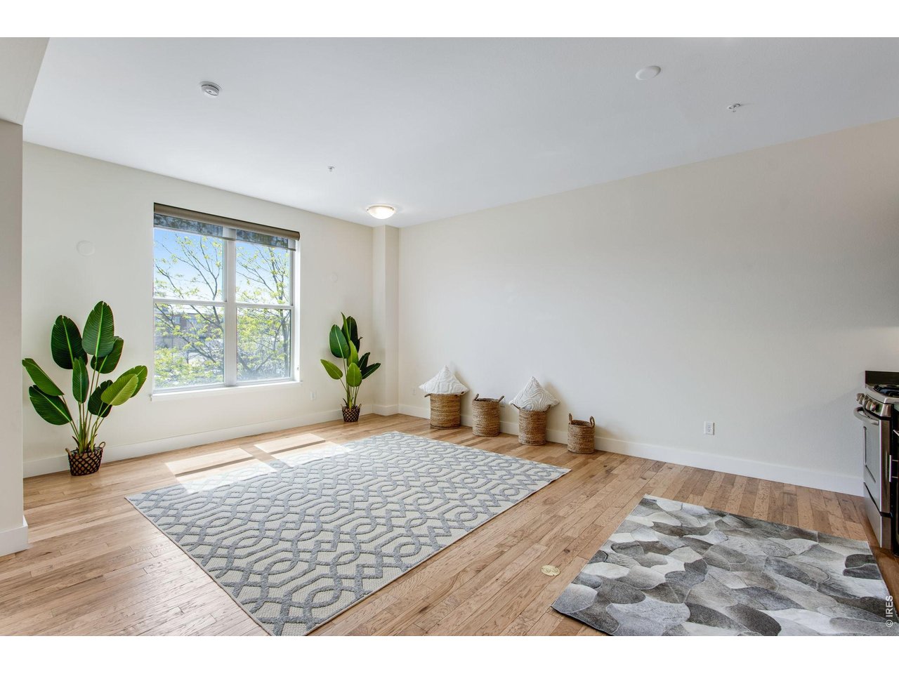 204 Maple Street, Unit 208 Fort Collins, CO 80521 - Photo 7 of 37 Living Room