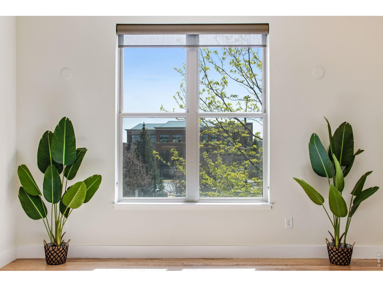 204 Maple Street, Unit 208 Fort Collins, CO 80521 - Photo 9 of 37