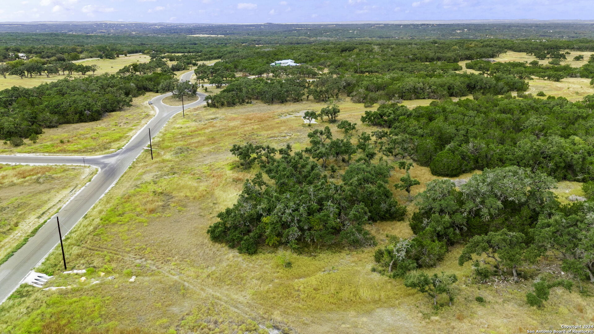 701 Windmill Ridge Blanco, TX 78606 - Photo 8 of 18
