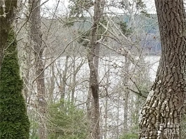 a small yard with trees in the background