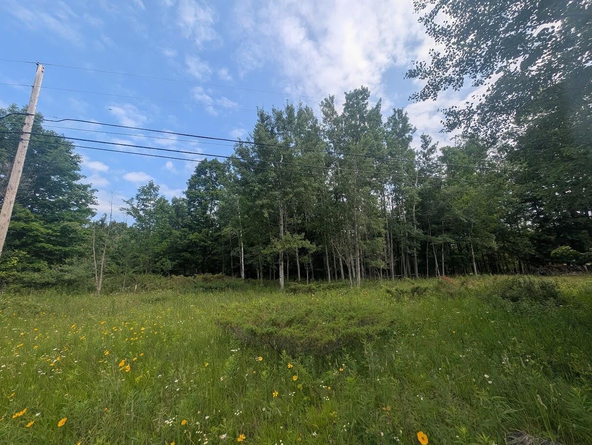 West Long Lake Road Alpena, MI 49707 - Photo 12 of 17 PXL_20250709_154735838