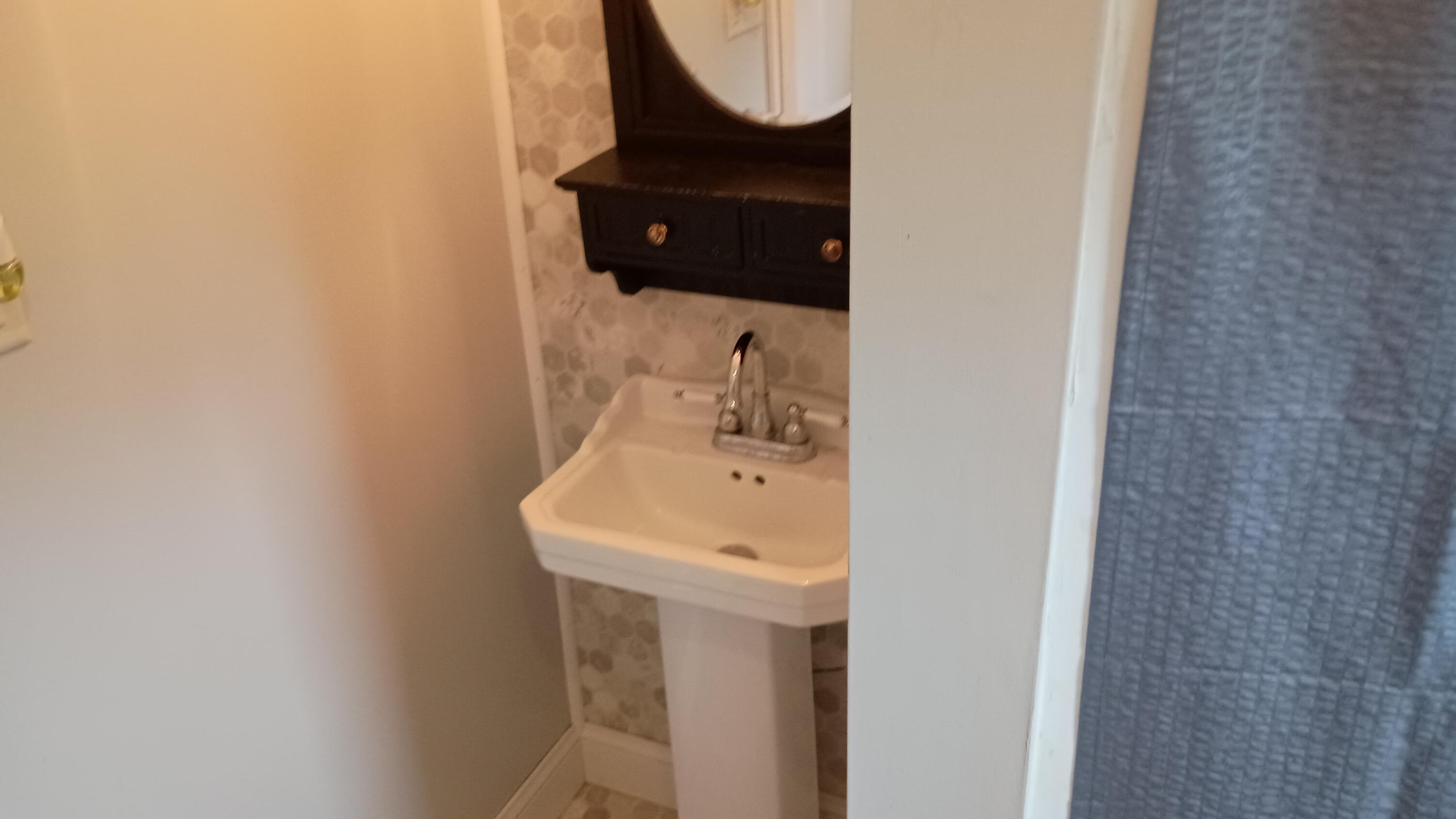 39495 Willis Road Belleville, MI 48111 - Photo 35 of 107 Bathroom (5)