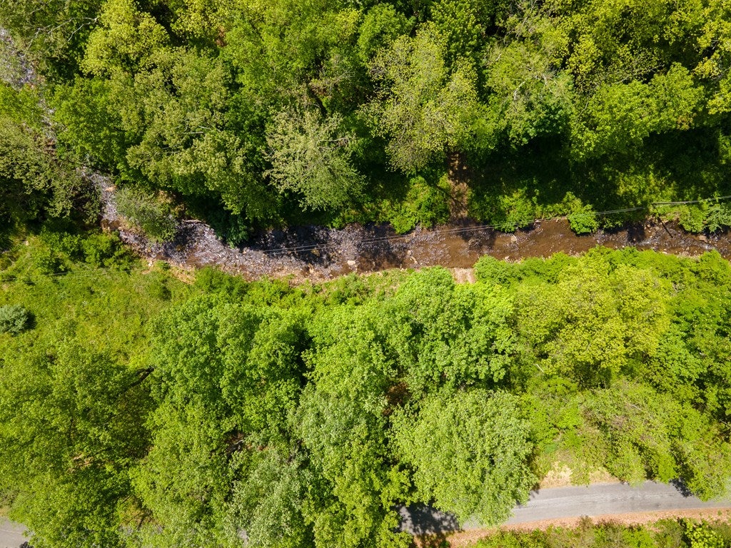 56-acres Runnett Bag Road Ferrum, VA 24088 - Photo 42 of 44 Gallery Image 42