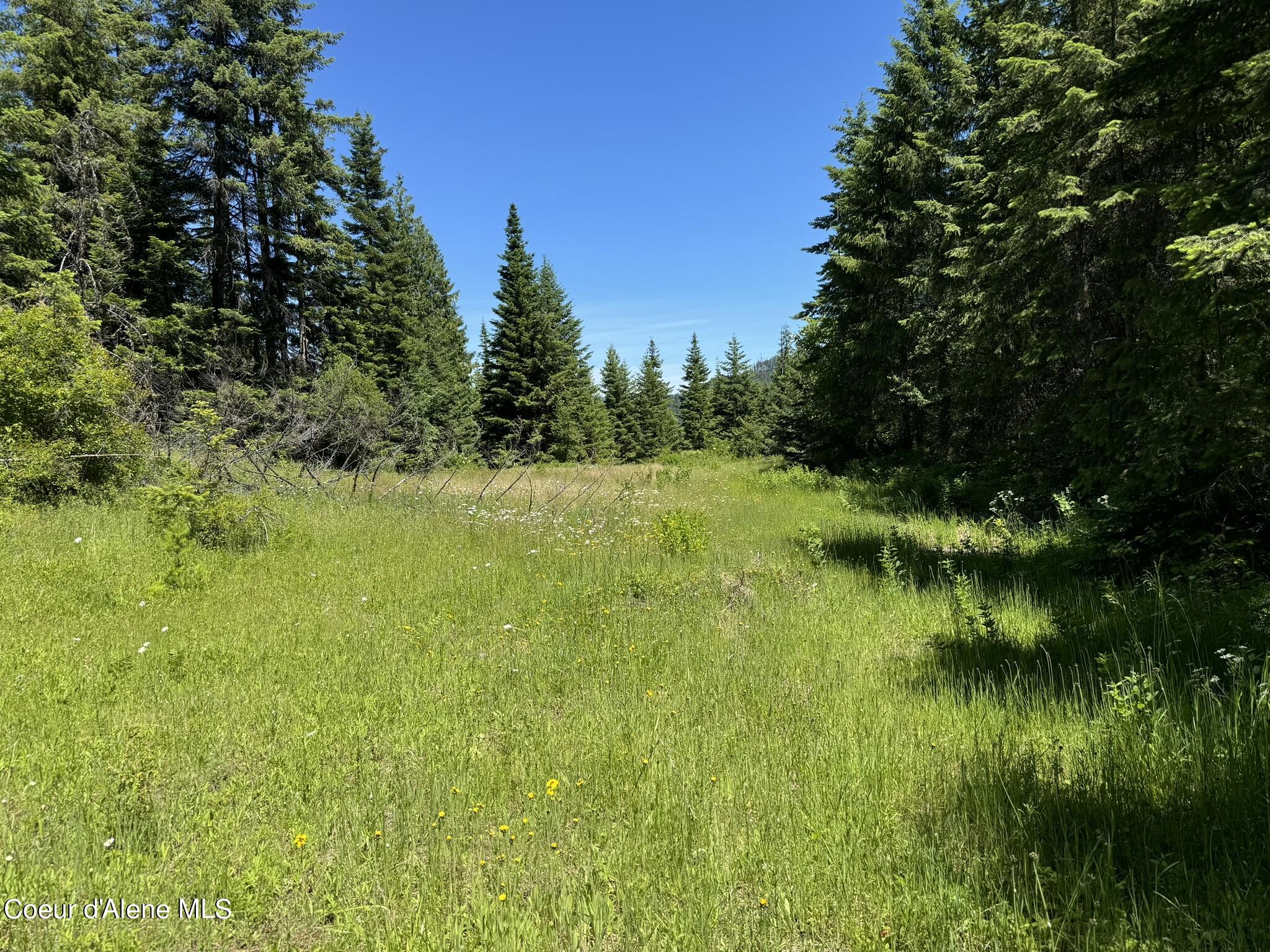 7362 South Dick's Creek Road Kendrick, ID 83537 - Photo 16 of 47 16