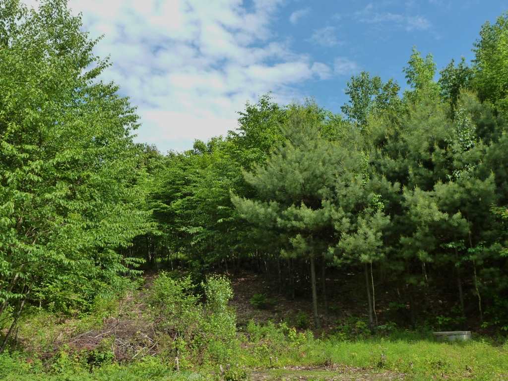 344 Oakcrest Road Bristol, NH 03222 - Photo 6 of 16 Gallery Image 6