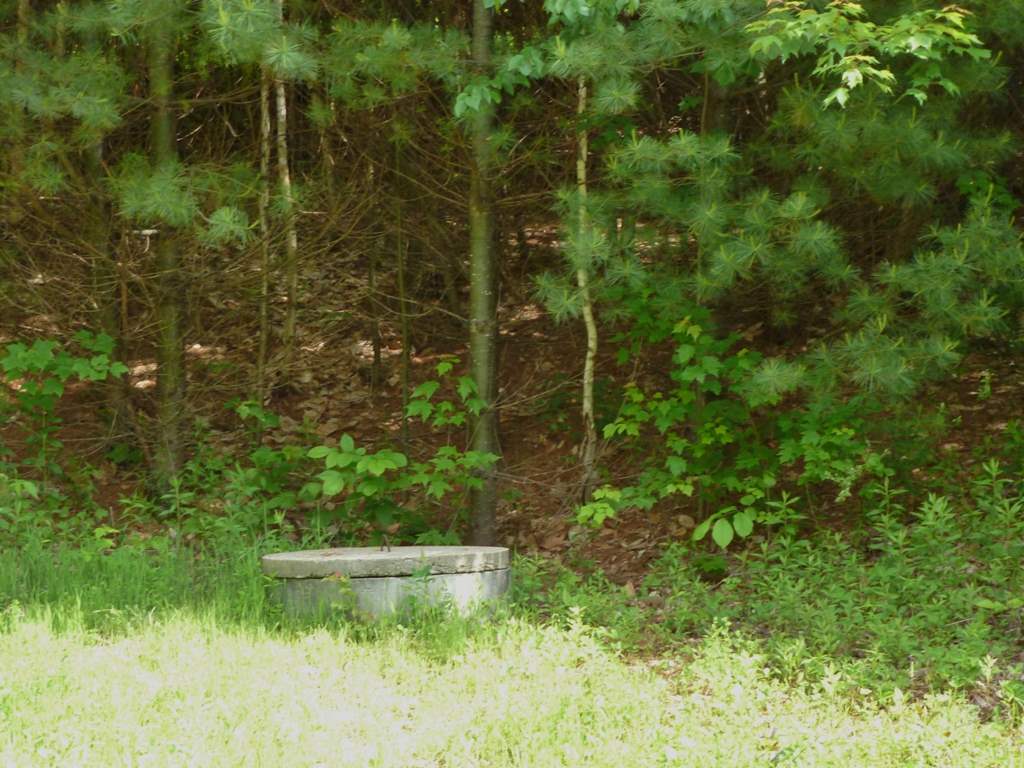 344 Oakcrest Road Bristol, NH 03222 - Photo 7 of 16 Gallery Image 7
