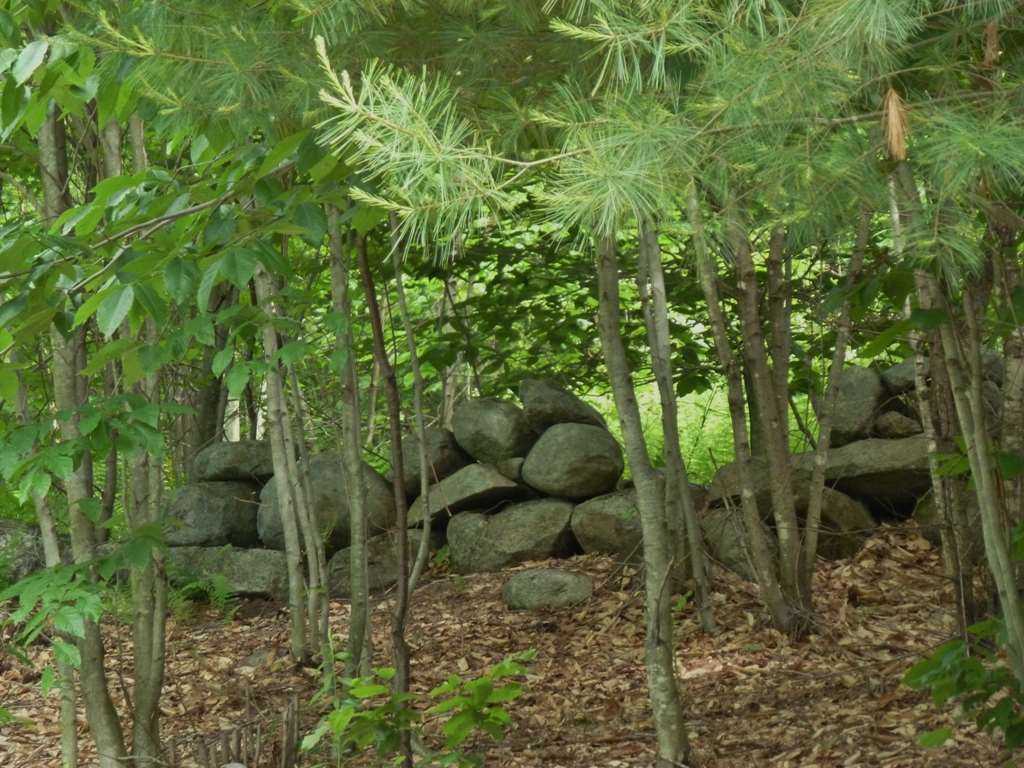 344 Oakcrest Road Bristol, NH 03222 - Photo 8 of 16 Gallery Image 8