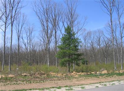 4170 Monroe Road Allegan, MI 49010 - Photo 1 of 17 Primary Photo
