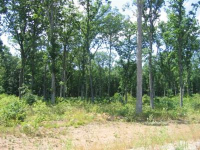 4170 Monroe Road Allegan, MI 49010 - Photo 14 of 17 Additional Photo