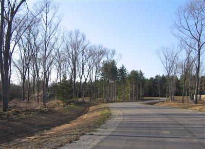 4170 Monroe Road Allegan, MI 49010 - Photo 4 of 17 Additional Photo