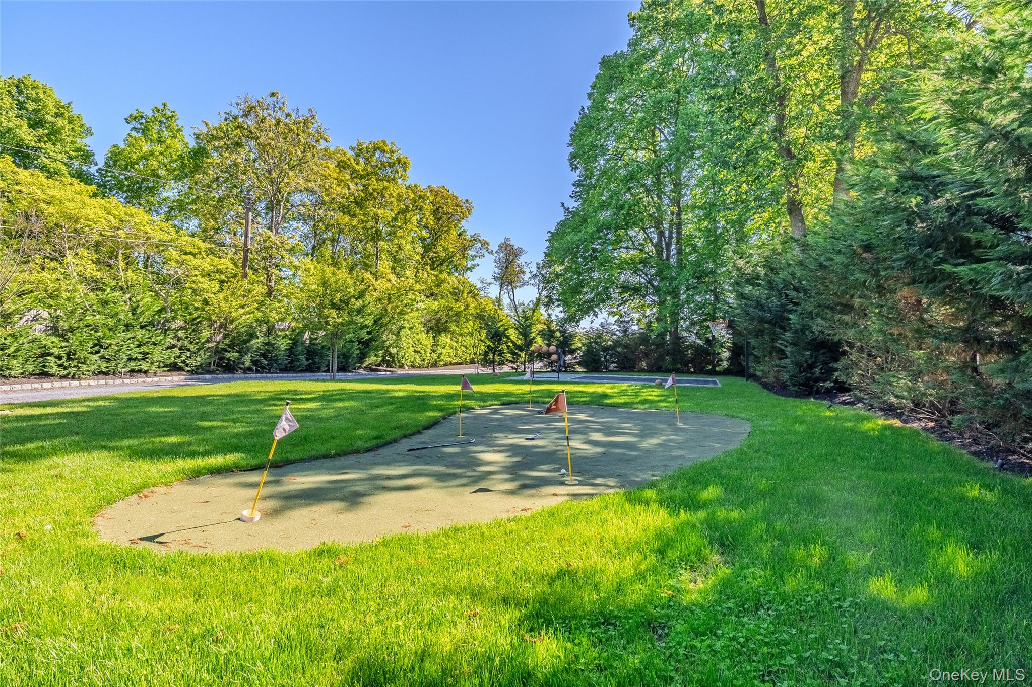 53 Old Neck Road South Center Moriches, NY 11934 - Photo 33 of 50 View of home's community with an area to practice putting and a lawn