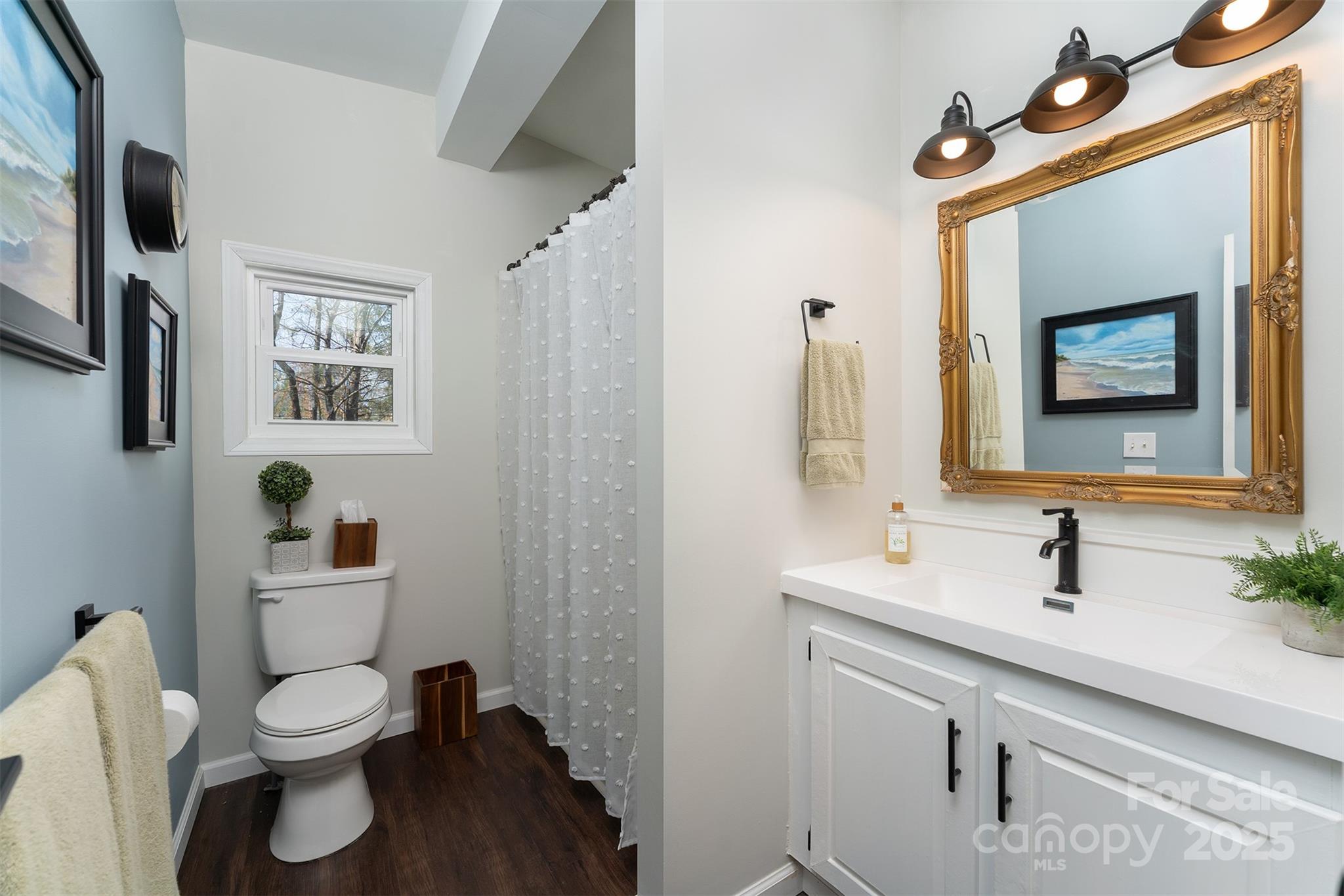 55 Whitaker Circle Fairview, NC 28730 - Photo 27 of 45 a bathroom with a toilet sink and mirror
