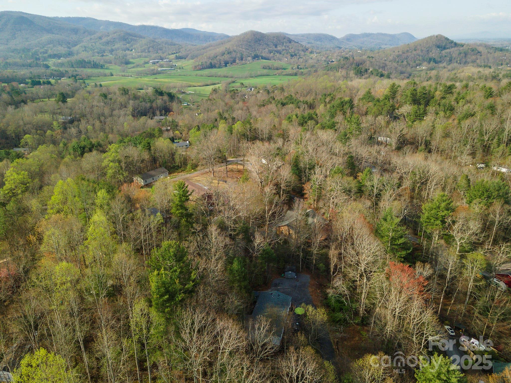55 Whitaker Circle Fairview, NC 28730 - Photo 44 of 45 a view of a lush green forest with lush green forest