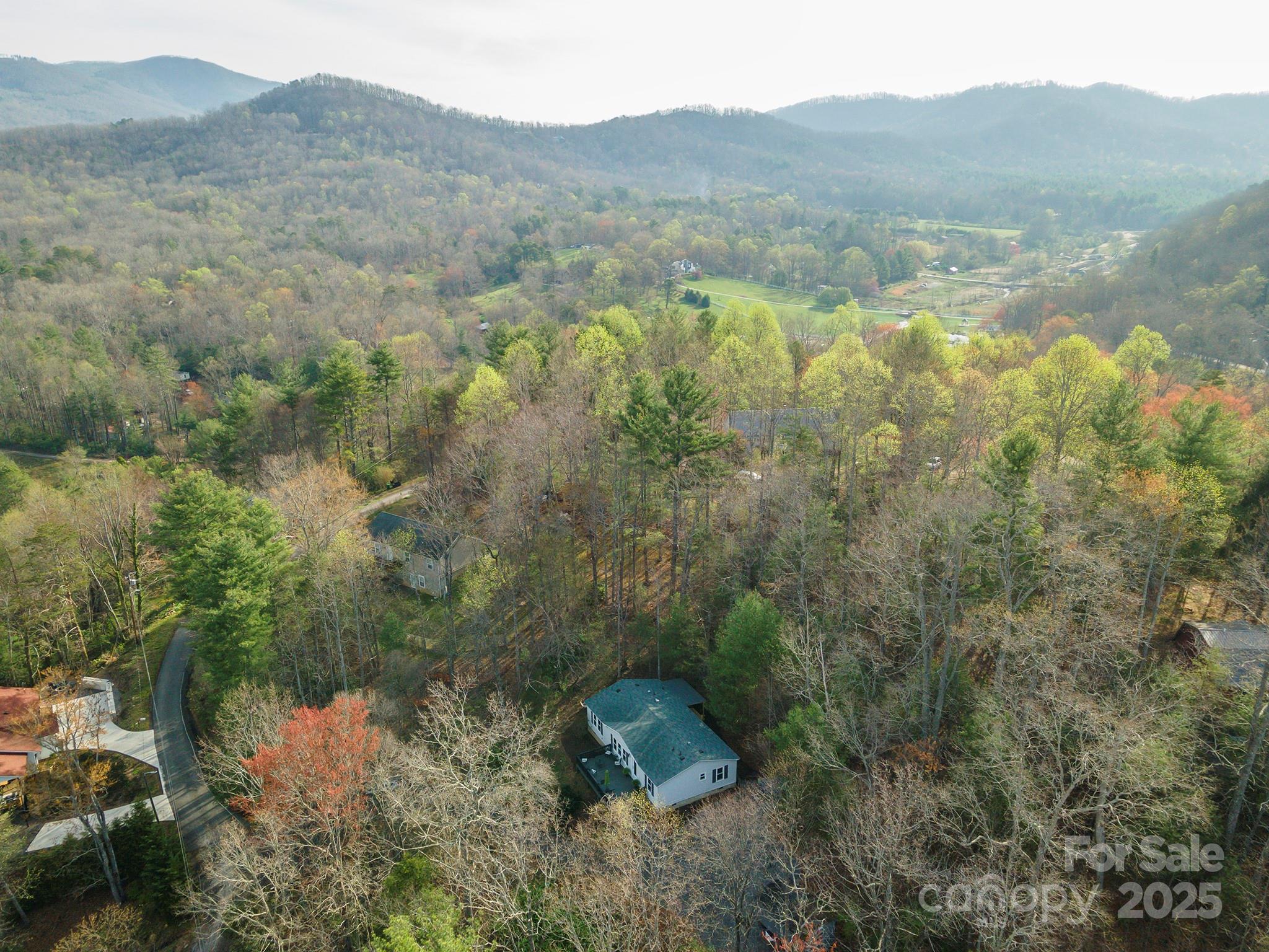 55 Whitaker Circle Fairview, NC 28730 - Photo 45 of 45 a view of a forest with mountains in the background