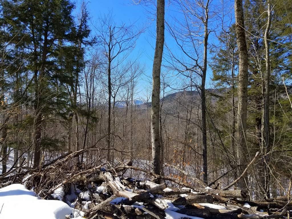 963 Bear River Road Newry, ME 04261 - Photo 5 of 6 Photo