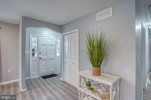 a view of a hallway with wooden floor and a potted plant