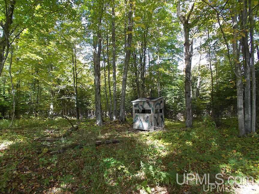 Tbd Burrell Road Gulliver, MI 49840 - Photo 11 of 13 Gallery Image 11