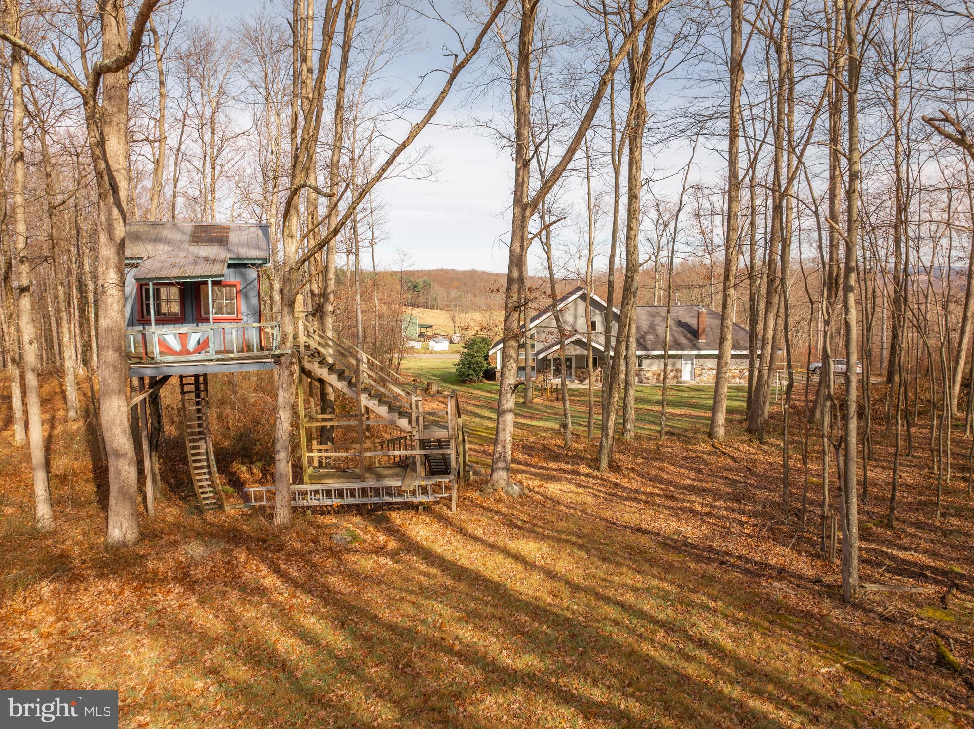 4007 White Rock Road Friendsville, MD 21531 - Photo 12 of 39 a view of outdoor space with seating area