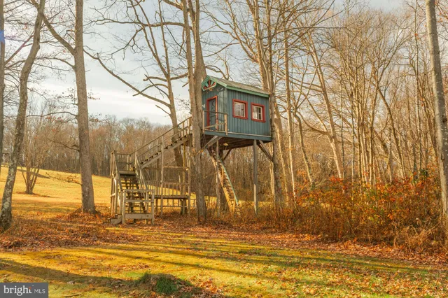 a view of street along with trees