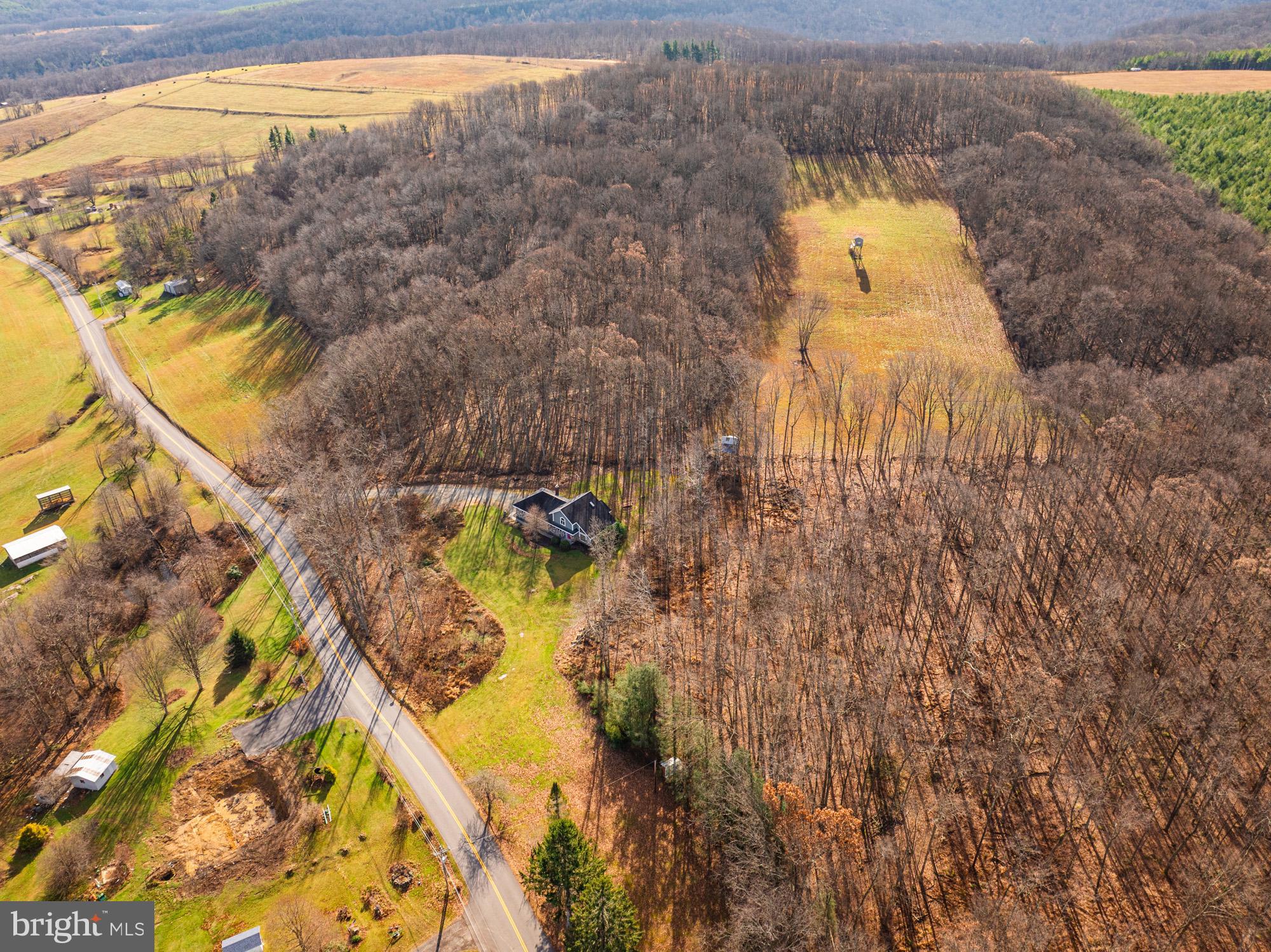 4007 White Rock Road Friendsville, MD 21531 - Photo 10 of 39 a view of swimming pool from a lake view