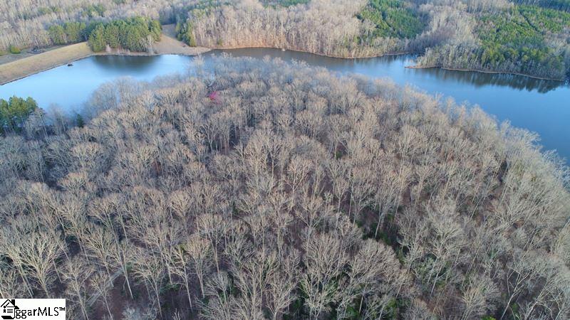 0 Riddle Town Road, Unit TRACT N3 Gray Court, SC 29645 - Photo 21 of 24 Gallery Image 21