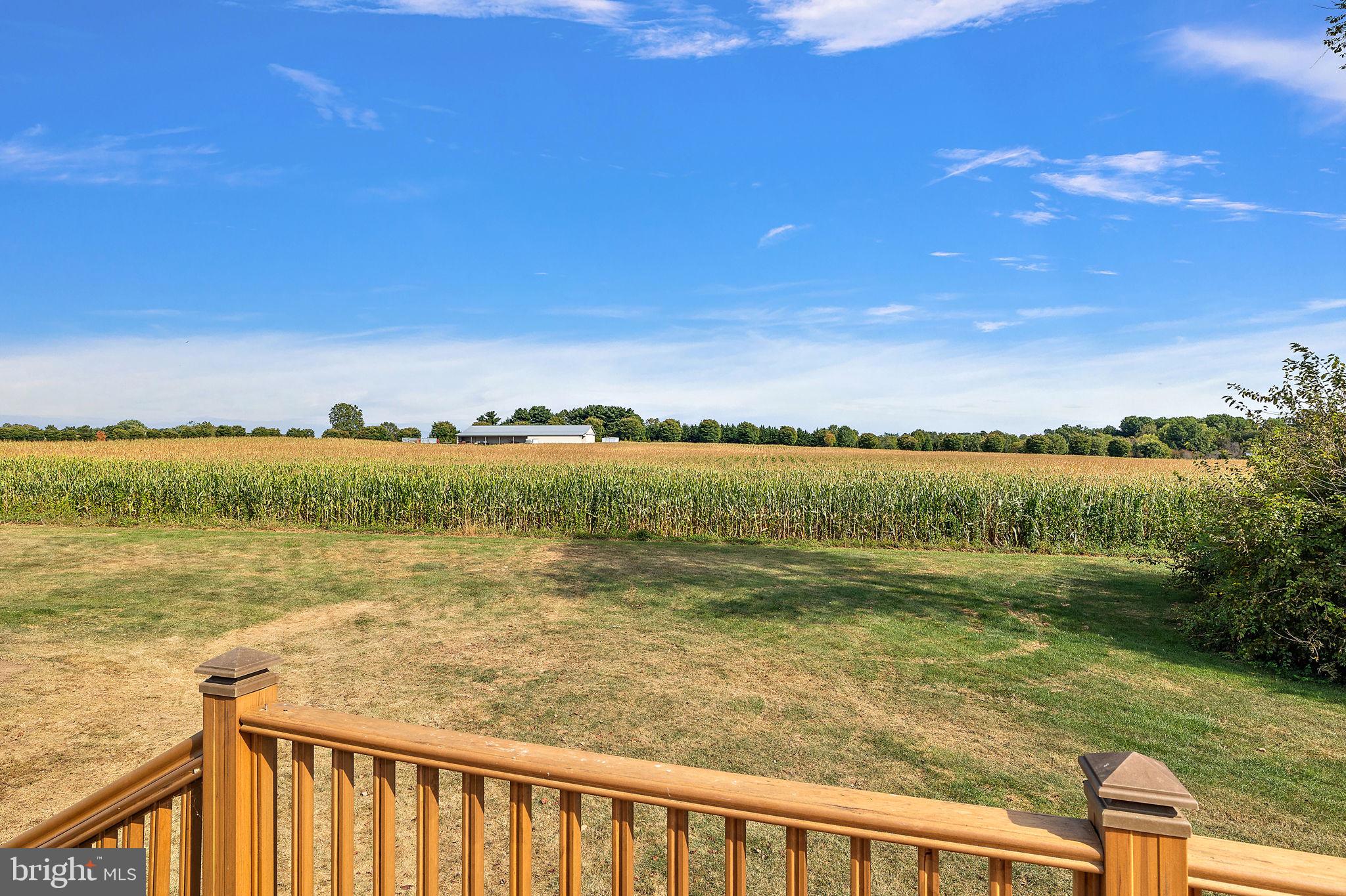 208 Manor Drive Middletown, DE 19709 - Photo 30 of 38