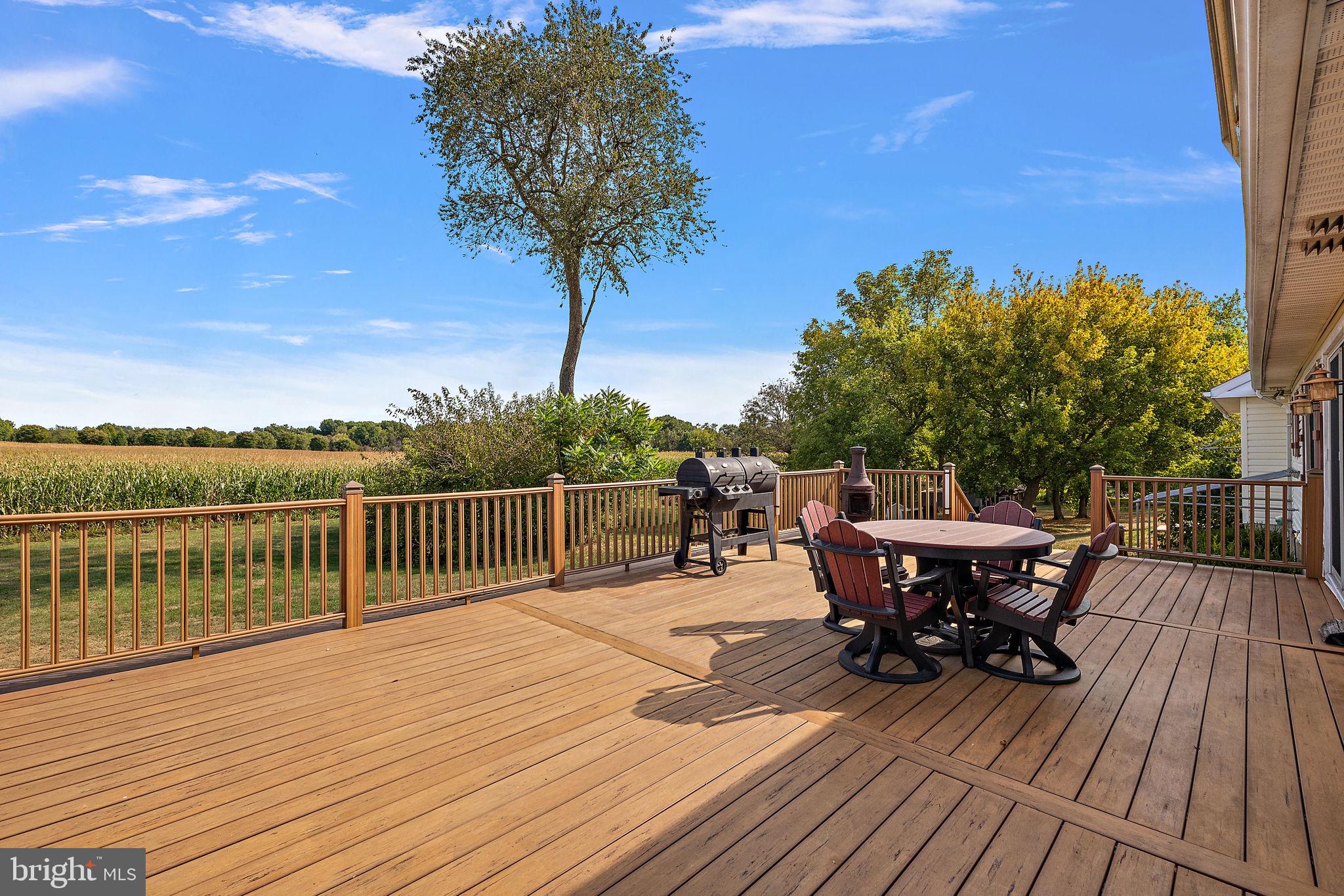 208 Manor Drive Middletown, DE 19709 - Photo 31 of 38