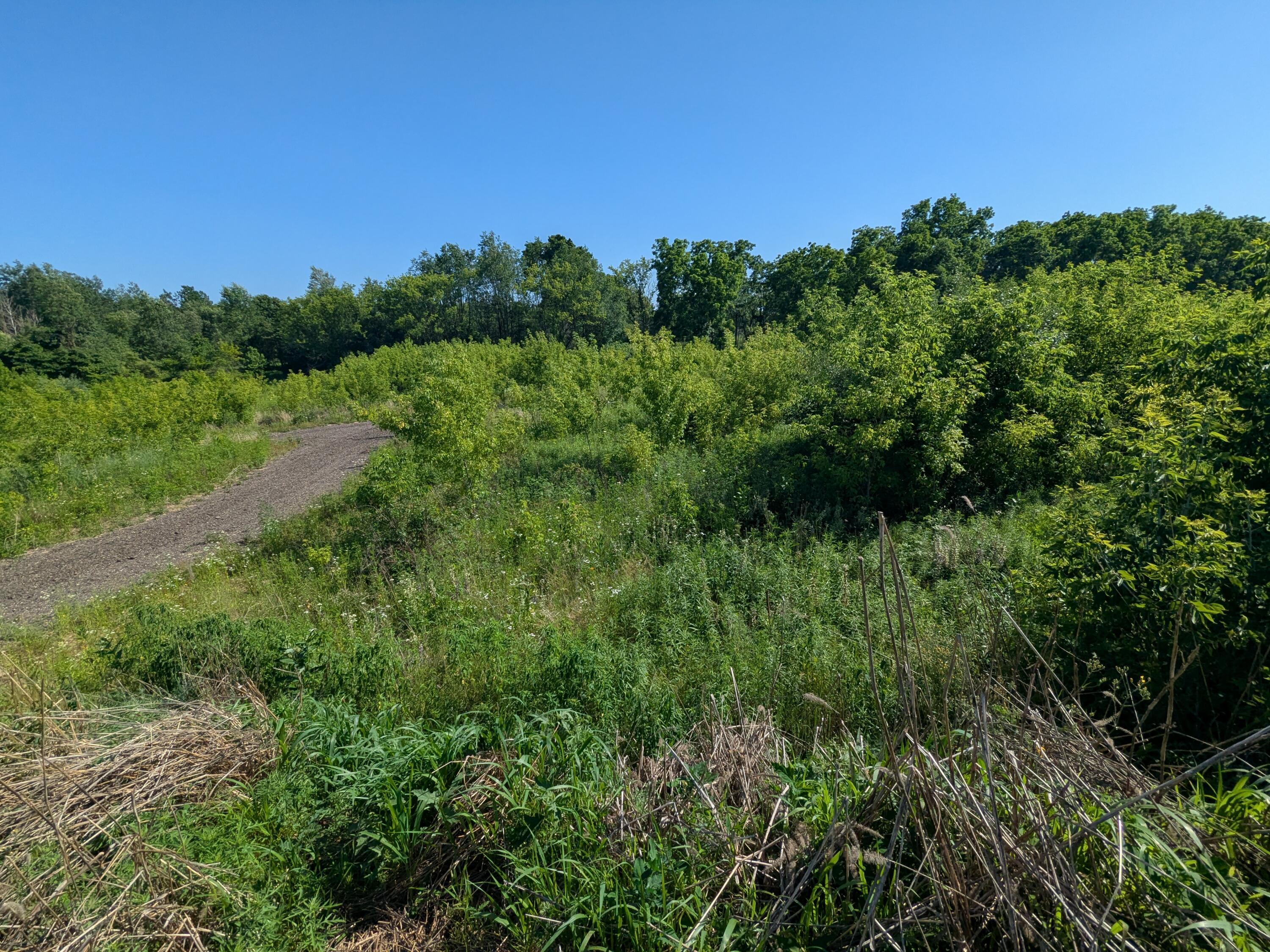 Vacant Lot Cassidy Road Bellevue, MI 49021 - Photo 21 of 41 1000020257