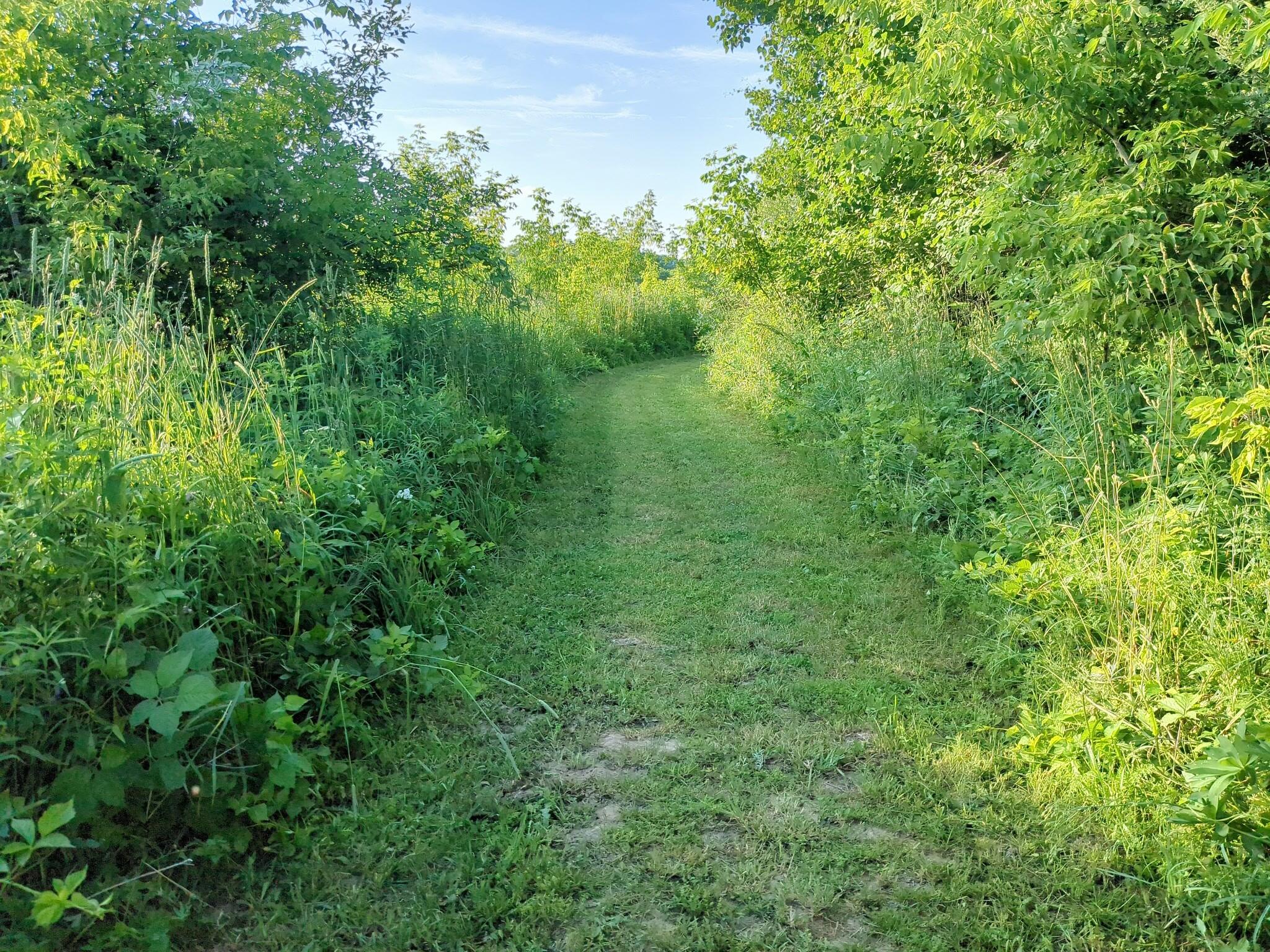 Vacant Lot Cassidy Road Bellevue, MI 49021 - Photo 22 of 41 1000020304
