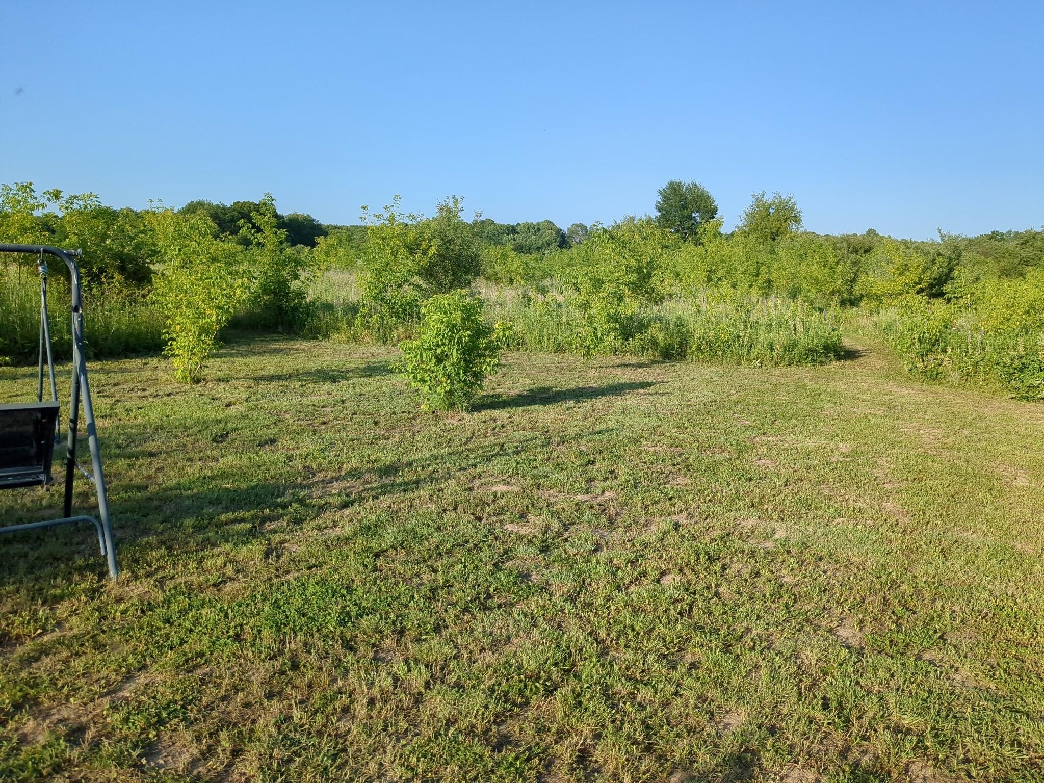 Vacant Lot Cassidy Road Bellevue, MI 49021 - Photo 5 of 41 1000020295