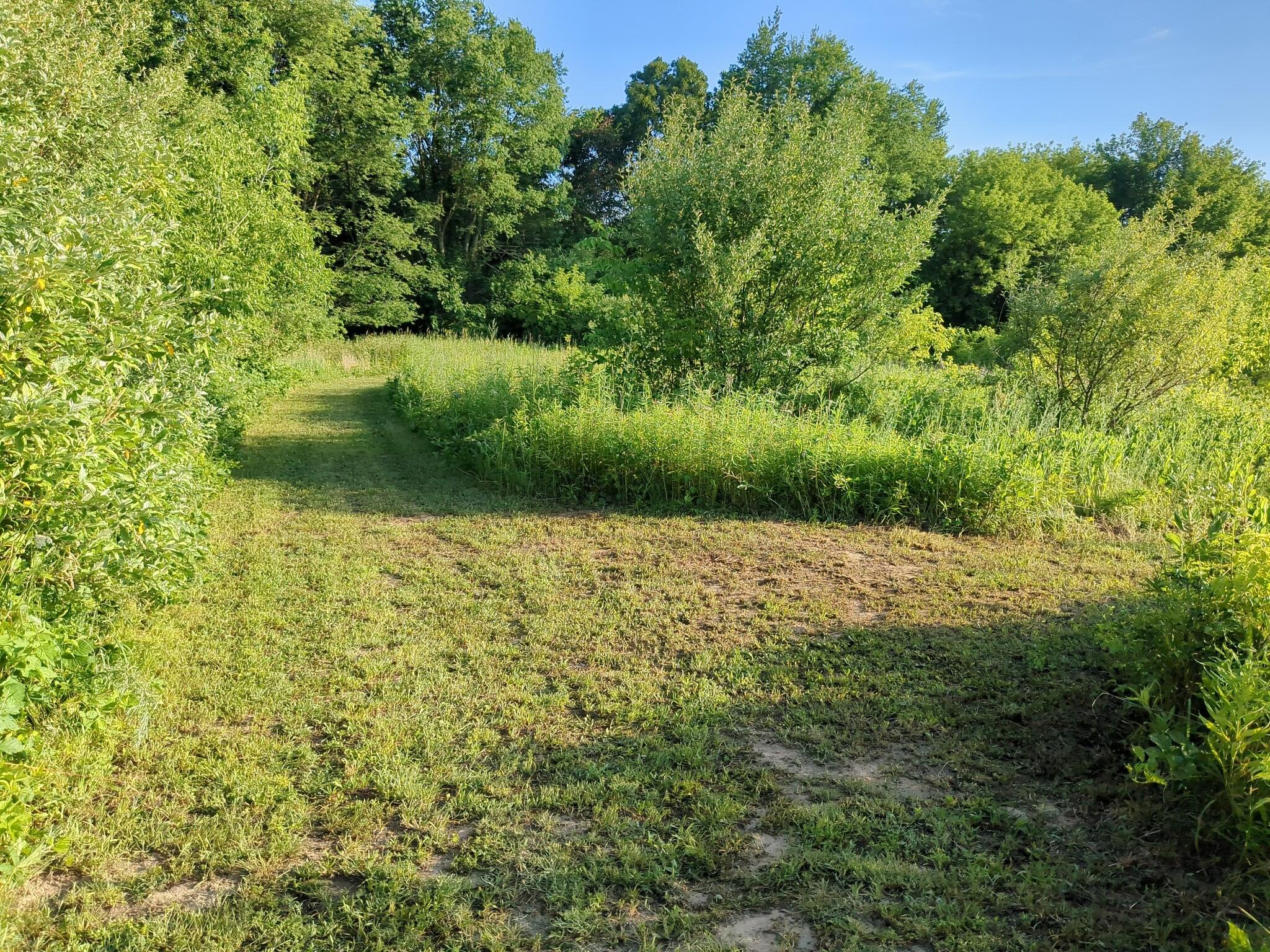 Vacant Lot Cassidy Road Bellevue, MI 49021 - Photo 9 of 41 1000020303