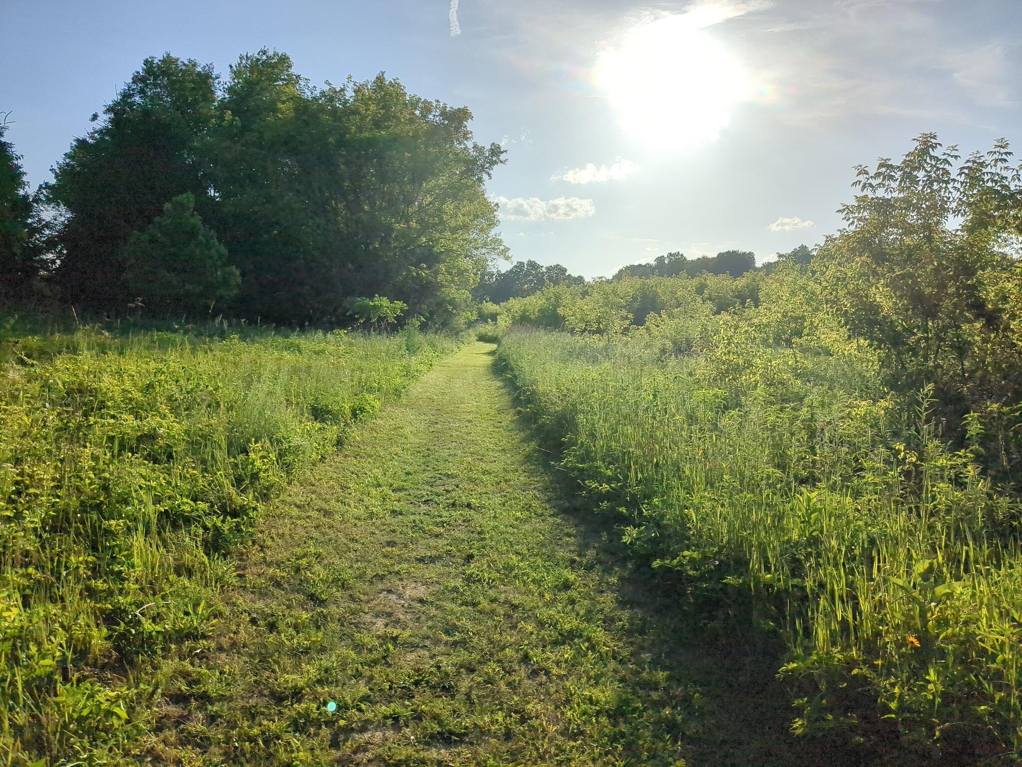 Vacant Lot Cassidy Road Bellevue, MI 49021 - Photo 10 of 41 1000020297