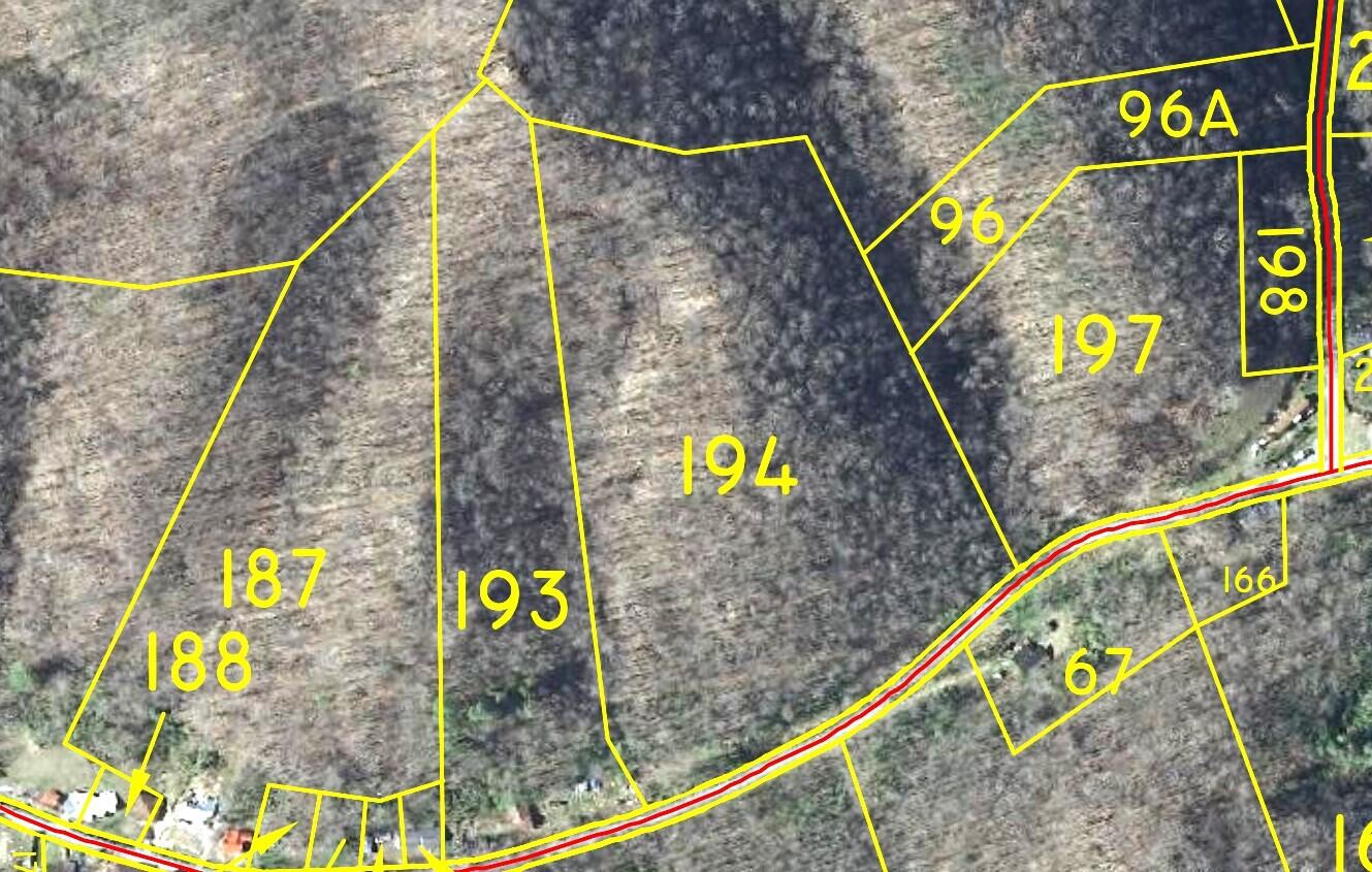 Tbd Big Br Road St. Charles, VA 24282 - Photo 2 of 3 LARGE SCALE TAX MAP WITH SATELLITE BACKG
