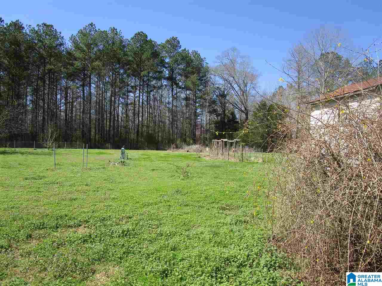 89 Buddy Lane Springville, AL 35146 - Photo 5 of 25